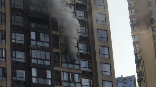 王庄最新爆料消息今天封城了,紧急封城，最新动态揭秘